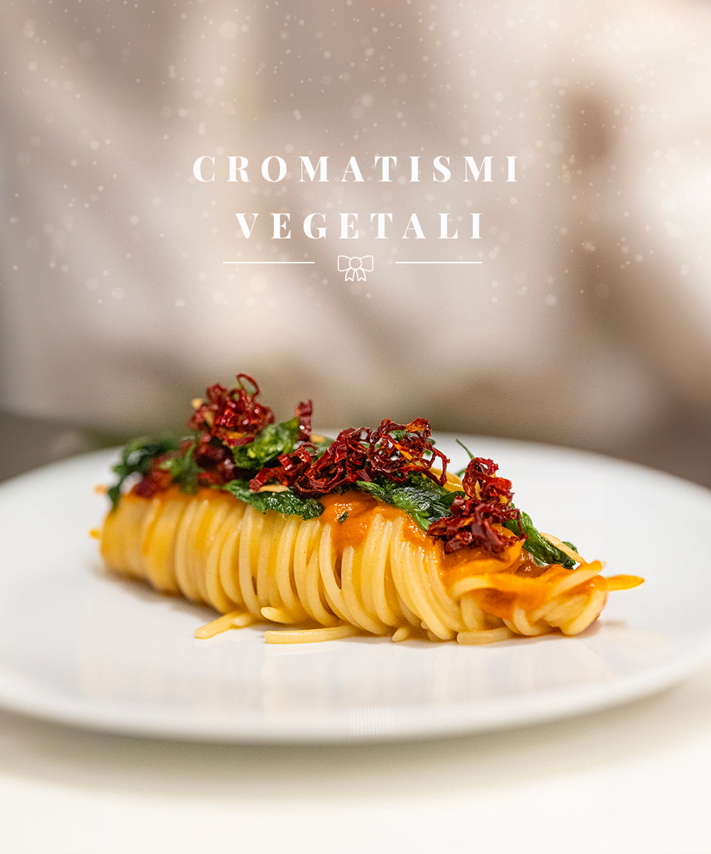 Tasting menu | Vegetable chromatisms
